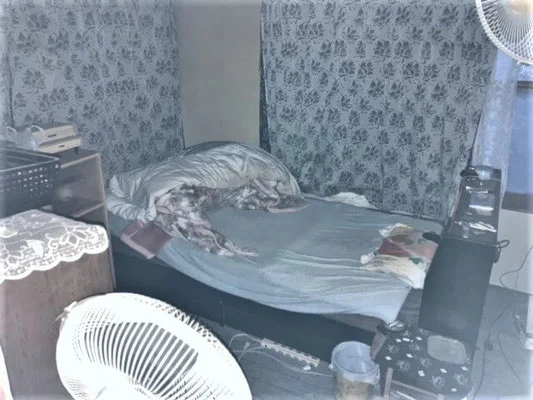 鹿沼市 / 遺品整理前 05
